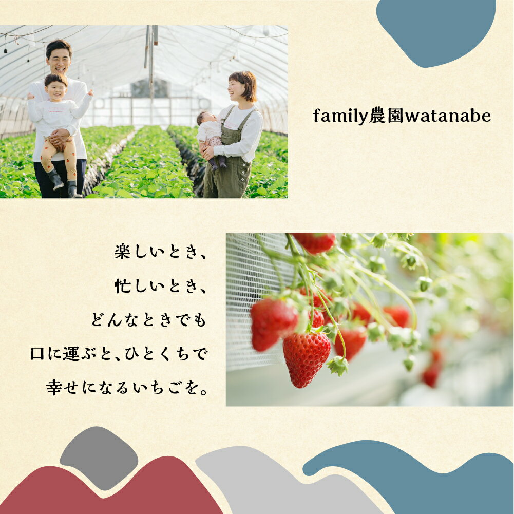 【ふるさと納税】【2026年1月以降発送】 自宅用 いちご 紅ほっぺ 選べる 1kg (250g × 4p) or 2kg [しあわせ苺] サイズ バラバラ 訳あり 訳アリ 農園直送 フルーツ 果物 苺 イチゴ 子ども 大人 人気 小分け 簡易梱包 家庭用 産地直送 先行予約 岐阜 期間限定 [nt524] サムネイル3