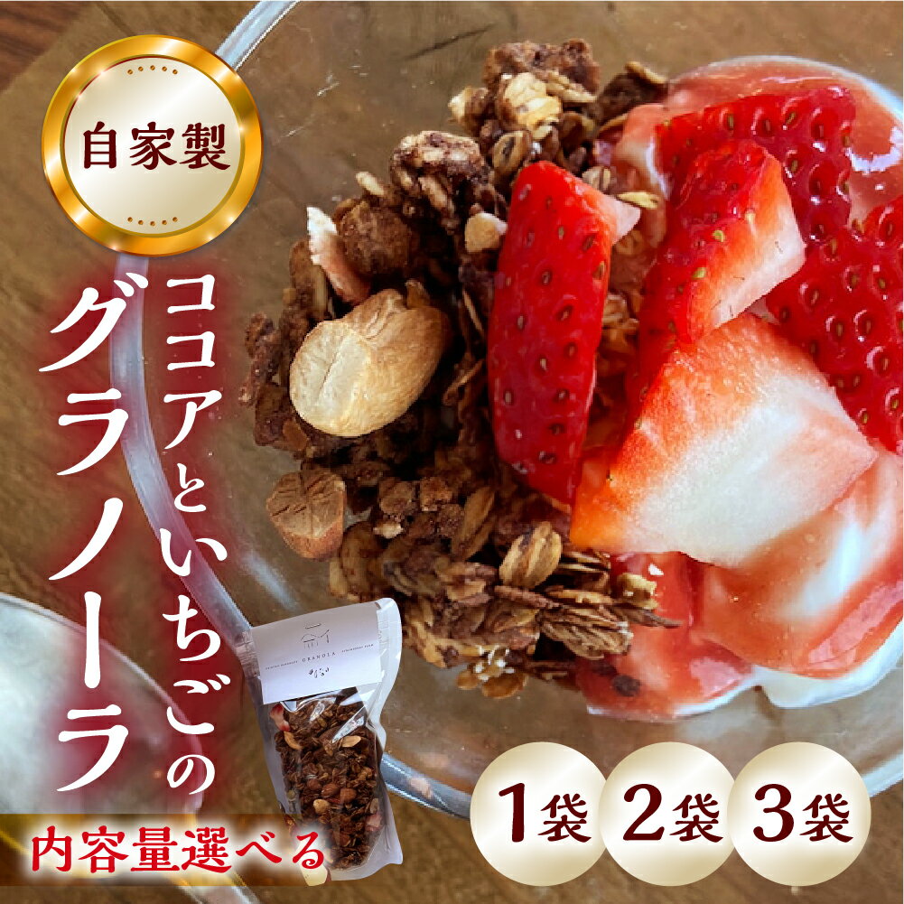 【2026年2月〜発送】先行予約 自家製 ココアといちごのグラノーラ 単品 定期便 選べる ココア いちご 紅ほっぺ シリアル 朝食 ギフト フルーツ スイーツ 苺 牛乳 デザート おやつ イチゴ 子ども 大人 人気 甘い ビター 送料無料 岐阜県 本巣市 8000円
