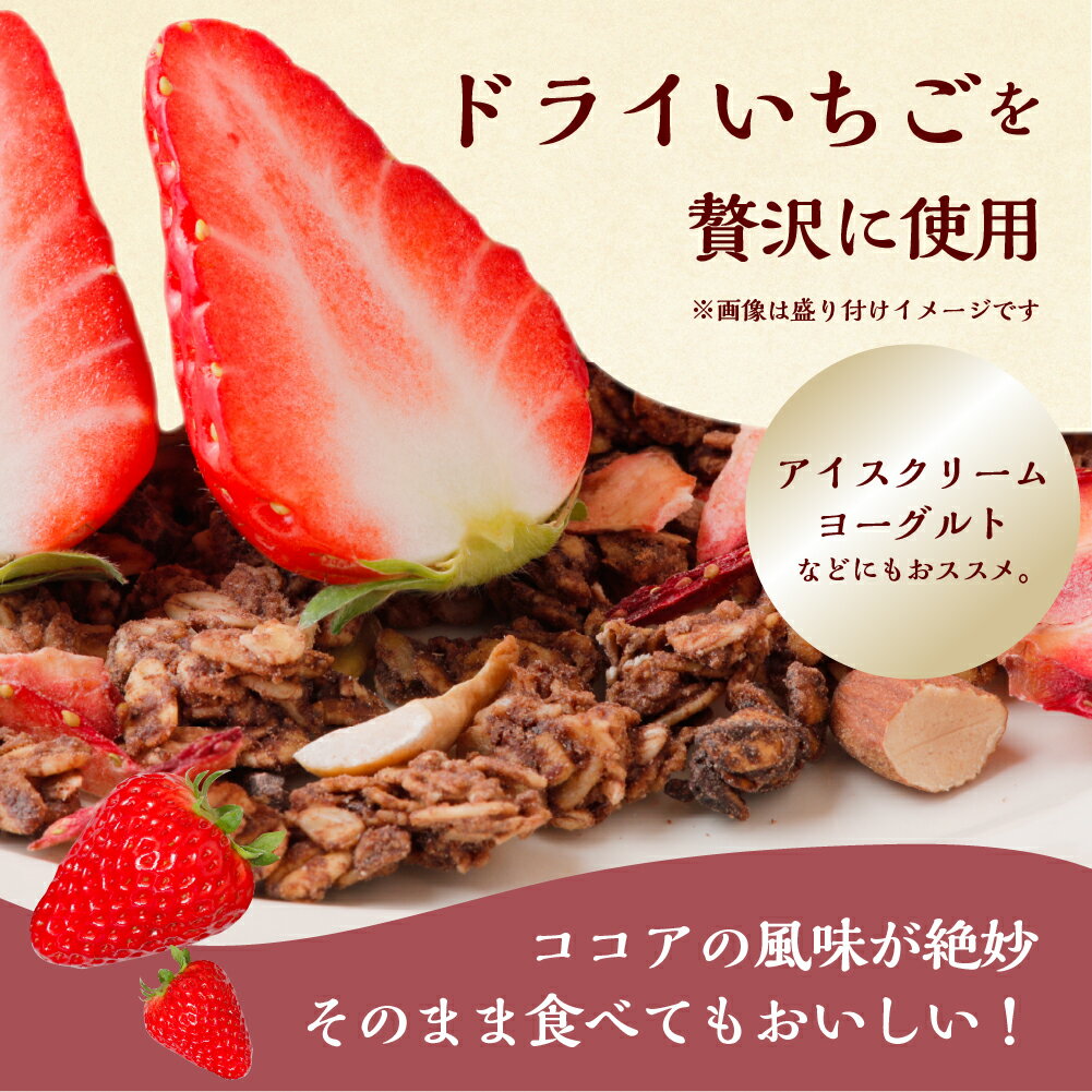 【ふるさと納税】【2026年2月〜発送】先行予約 自家製 ココアといちごのグラノーラ 単品 定期便 選べる ココア いちご 紅ほっぺ シリアル 朝食 ギフト フルーツ スイーツ 苺 牛乳 デザート おやつ イチゴ 子ども 大人 人気 甘い ビター 送料無料 岐阜県 本巣市 8000円 サムネイル2