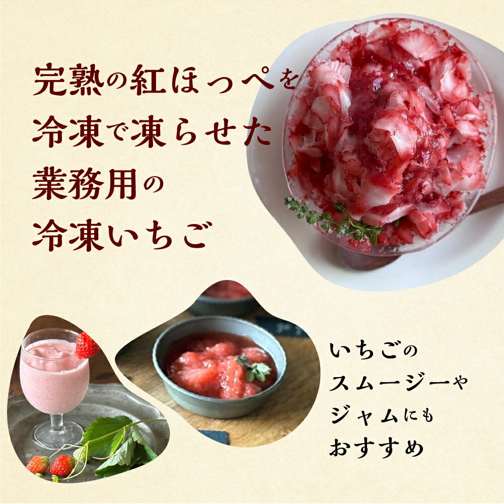 【ふるさと納税】【2026年5月発送〜】加工向きな 冷凍いちご 紅ほっぺ 1.5kg ~ 3kg 簡易梱包 サイズ 不揃い 訳あり 訳アリ フルーツ 果物 苺 いちご イチゴ アイス シャーベット family農園 子ども 業務用 家庭用 国産 産地直送 岐阜県 8000円 1万 [mt1561] 10000円 一万円 サムネイル2