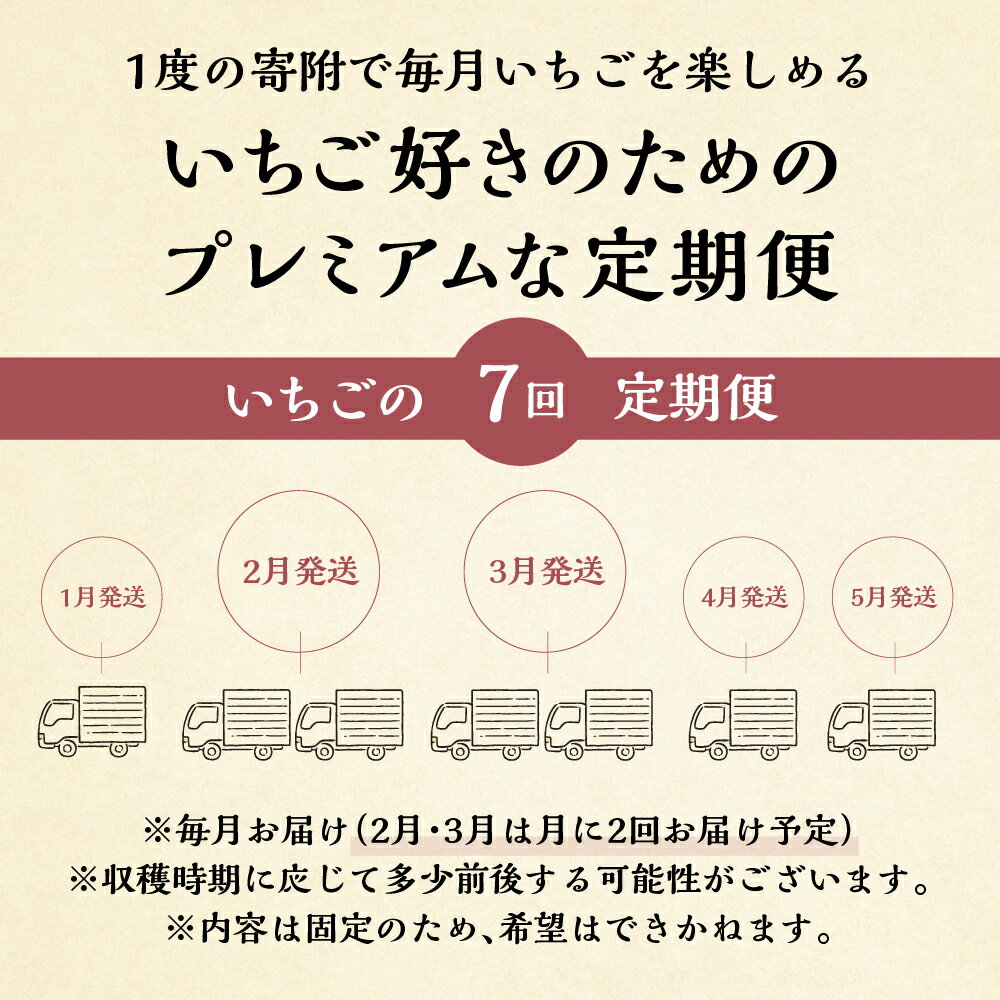 【ふるさと納税】 【プレミアム 定期便 全7回】自宅用 いちご 紅ほっぺ 1kg (250g × 4p ）7か月 7回 [mt1800]｜フルーツ 果物 スイーツ 苺 いちご イチゴ しあわせ苺 サイズ バラバラ 訳あり 訳アリ 含む 農園直送 送料無料 人気 苺 国産 岐阜県 本巣市 2026年 先行予約 サムネイル3