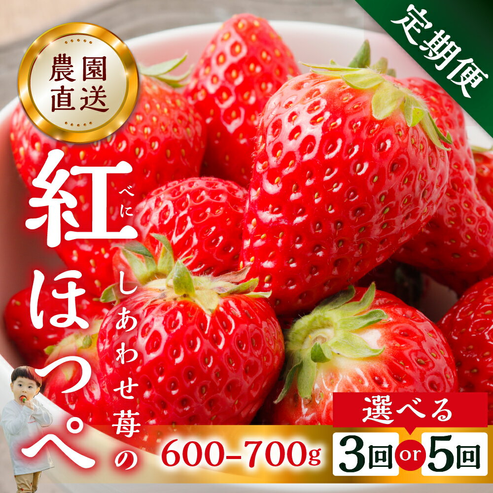 【2026年1月以降発送】【定期便3回 5回 選べる】自宅用 いちご 紅ほっぺ 600-700g ×3回 サイズ バラバラ 訳あり 訳アリ 農園直送 [mt196] フルーツ スイーツ 苺 イチゴ 人気 簡易梱包 家庭用 産地直送 激甘 岐阜県 本巣市 3万 5万
