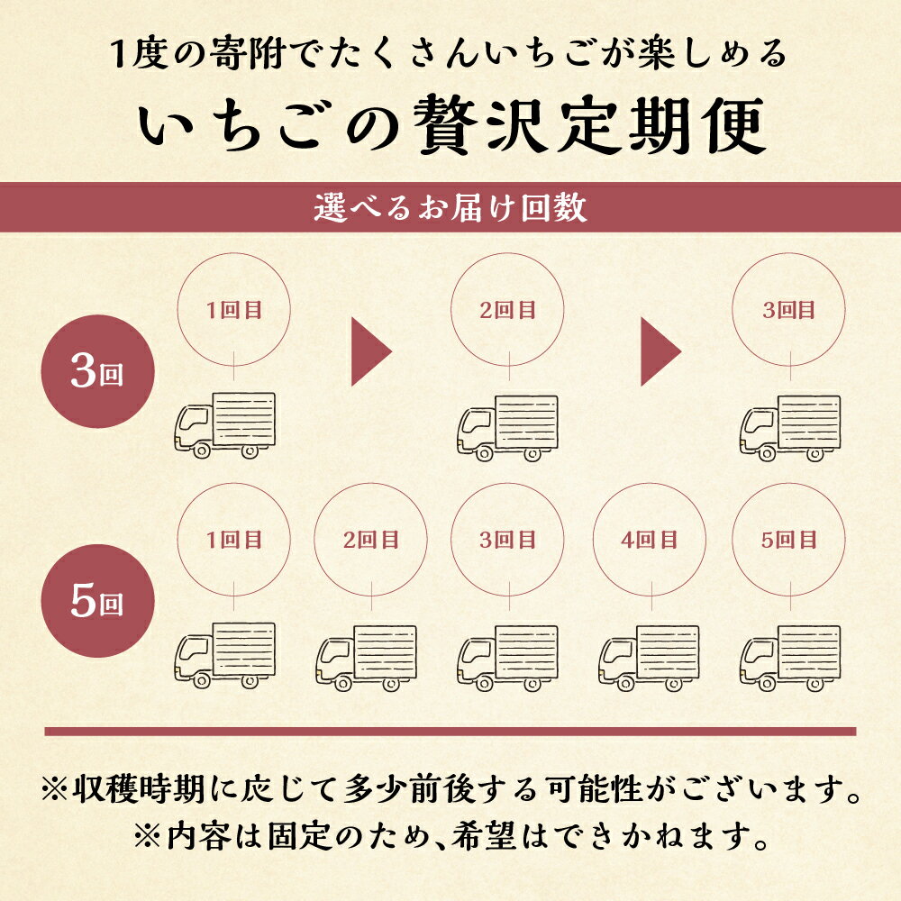 【ふるさと納税】【2026年1月以降発送】【定期便3回 5回 選べる】自宅用 いちご 紅ほっぺ 600-700g ×3回 サイズ バラバラ 訳あり 訳アリ 農園直送 [mt196] フルーツ スイーツ 苺 イチゴ 人気 簡易梱包 家庭用 産地直送 激甘 岐阜県 本巣市 3万 5万 サムネイル3