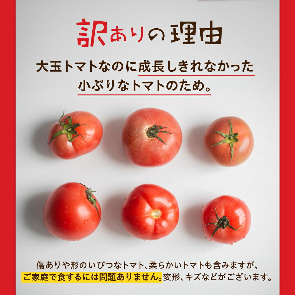 【ふるさと納税】【2025年11月〜発送】大容量 トマト 選べる 2kg 6kg 令和8年産 先行予約 先行受付 大玉トマト の 小ぶり サイズ おまかせ 不揃い 訳あり 訳アリ 野菜 岐阜県産 本巣市 朝採り 産地直送 新鮮 期間 数量限定 常温 ポットファクトリー 美味しい 1万 10000円 サムネイル2