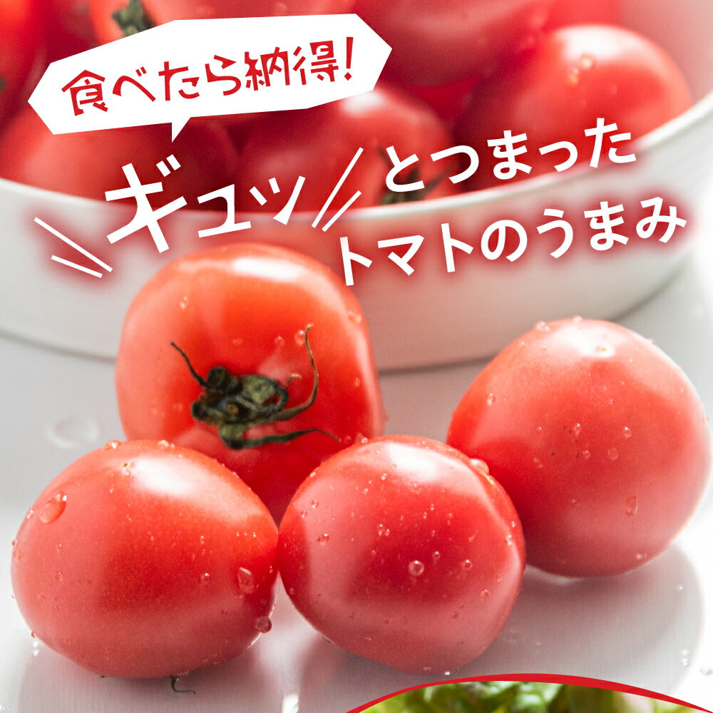 【ふるさと納税】【2025年11月〜発送】大容量 トマト 選べる 2kg 6kg 令和8年産 先行予約 先行受付 大玉トマト の 小ぶり サイズ おまかせ 不揃い 訳あり 訳アリ 野菜 岐阜県産 本巣市 朝採り 産地直送 新鮮 期間 数量限定 常温 ポットファクトリー 美味しい 1万 10000円 サムネイル3
