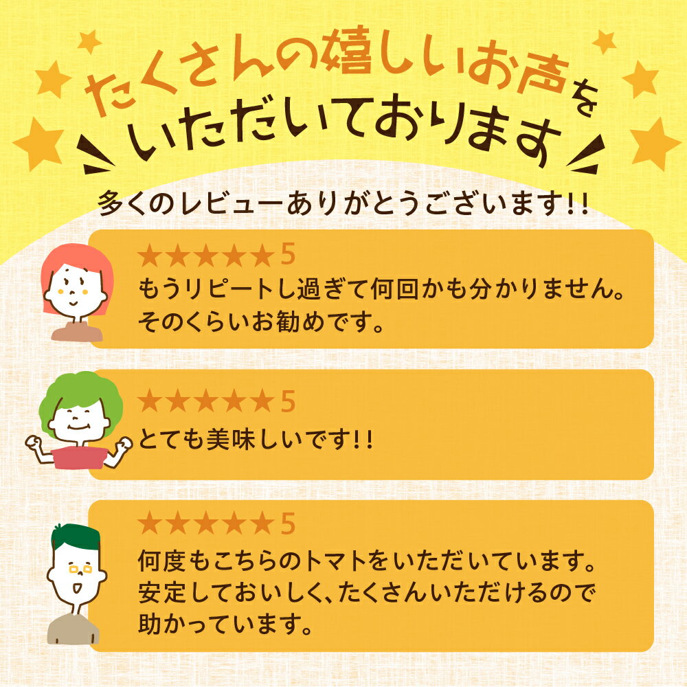 【ふるさと納税】大容量 トマト 選べる 2kg 4kg 6kg 2026年- 2027年産 令和8年産 令和9年産 先行予約 先行受付 大玉トマト の 小ぶり サイズ おまかせ 不揃い 訳あり 訳アリ 野菜 岐阜県産 本巣市 朝採り 産地直送 新鮮 期間 数量限定 常温 ポットファクトリー 美味しい - 画像3