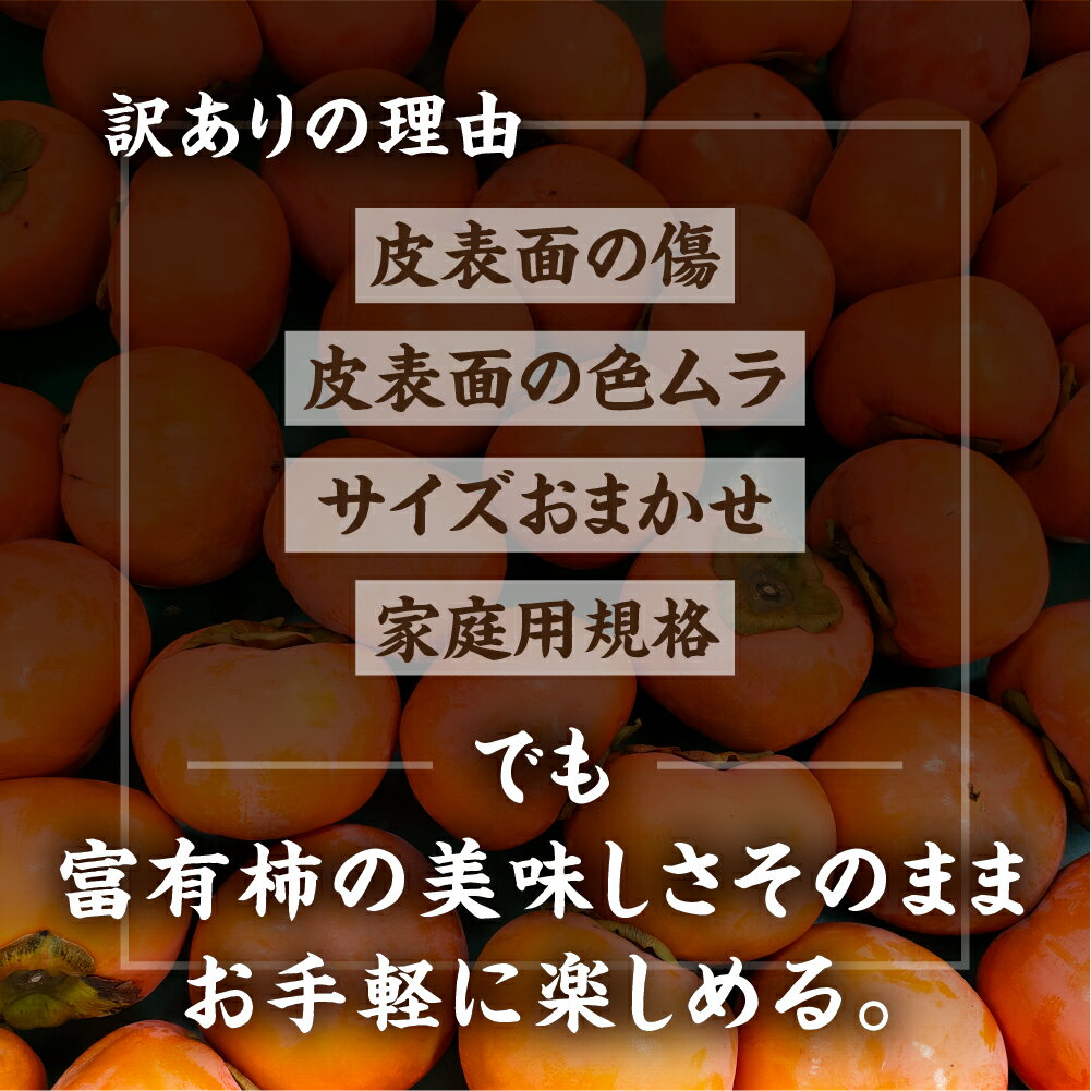 【ふるさと納税】[先行予約] 令和7年産 《訳あり》西垣農園の富有柿 約3kg [mt491] ｜わけあり 家庭用規格 サイズおまかせ かき 富有柿 フルーツ カキ 果物 くだもの 産地直送 岐阜県 本巣市 お取り寄せ 10000円 一万円 サムネイル3