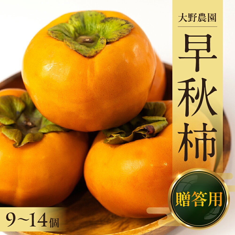 【先行予約】【令和8年産】《早い甘柿》大野農園の早秋柿 (9〜14個入)10月上旬〜10月下旬発送予定[mt1557]｜柿　ギフト　贈答　早秋 フルーツ カキ 果物 くだもの 岐阜県 本巣市 15000円
