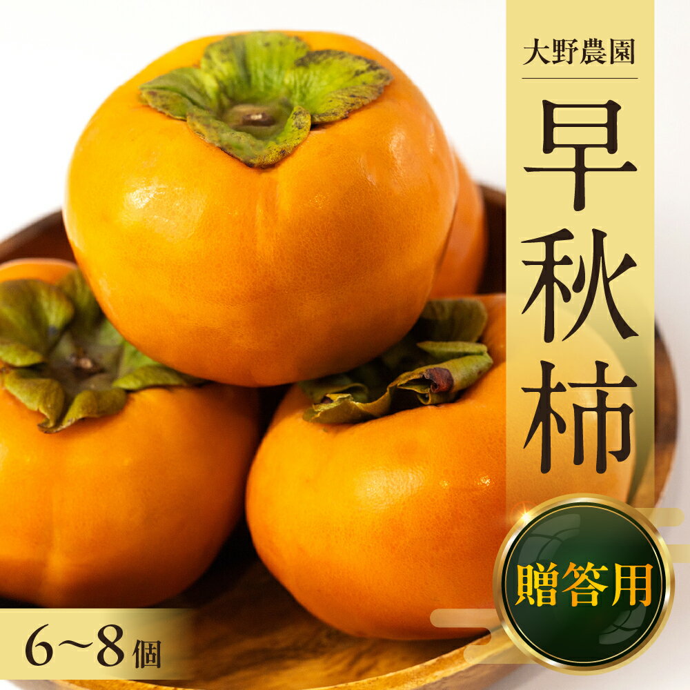 【先行予約】【令和8年産】《早い甘柿》大野農園の早秋柿 (6〜8個入)10月上旬〜10月下旬発送予定[mt1738]｜柿　ギフト　贈答 早秋 フルーツ カキ 果物 くだもの 甘い 岐阜県 本巣市 8000円