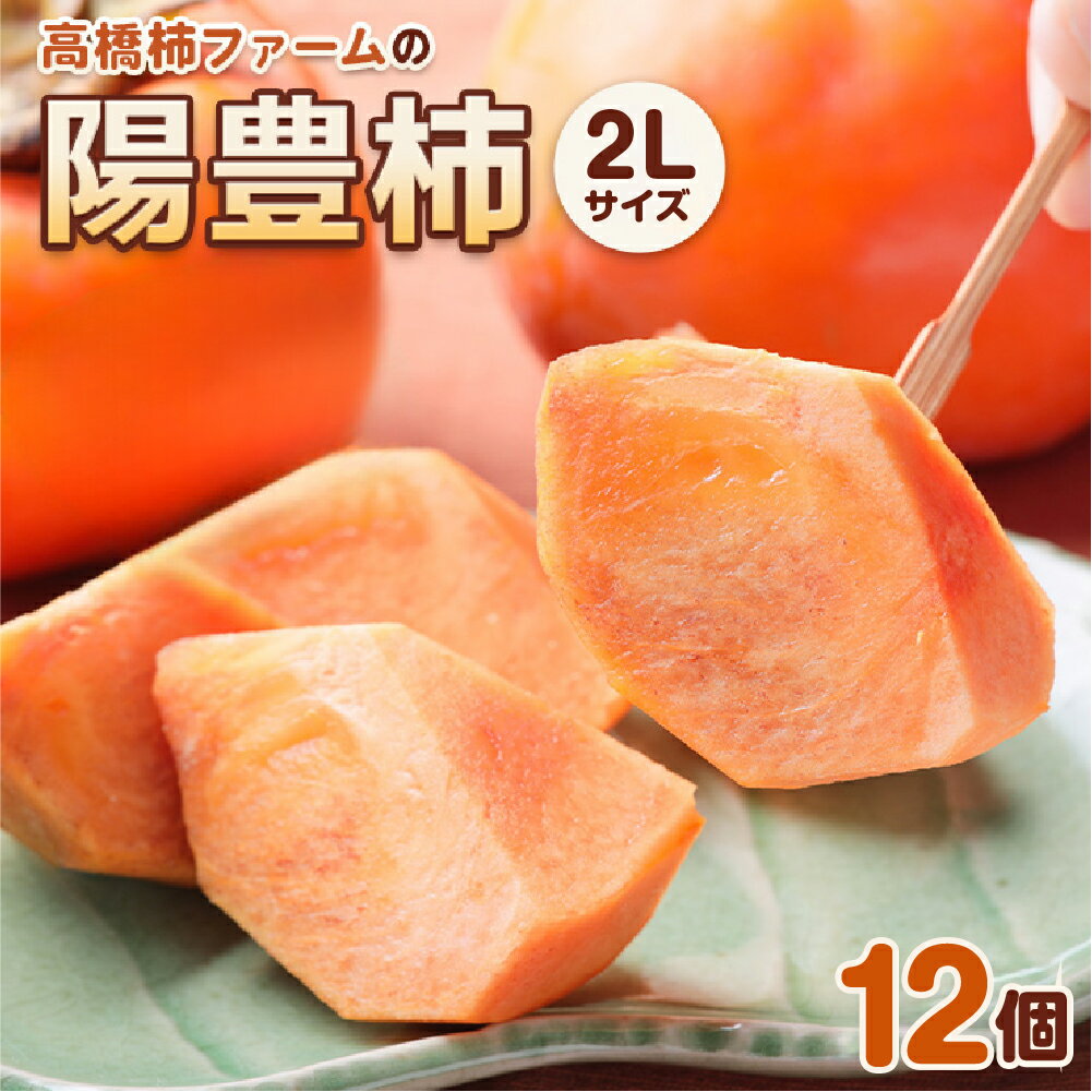 [先行予約] 令和8年産 陽豊柿 2Lサイズ 12個入り《2026年11月上旬より発送予定》[1001]｜かき 陽豊 フルーツ カキ 果物 くだもの 産地直送 高橋柿ファーム 岐阜県 本巣市 10000円 1万