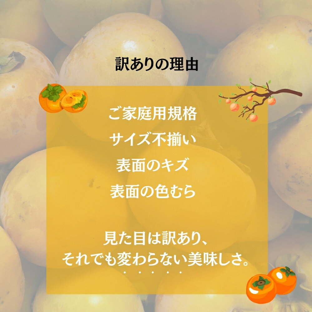 【ふるさと納税】【 訳あり 】令和7年産 富有柿 3kg ( 2L~ 3L ) 10-12個 カキ かき 果物 くだもの フルーツ サイズ不揃い 表面 キズ 色ムラ 家庭用規格 のため 訳アリ わけあり 自宅用 家庭用 岐阜県 本巣市 高橋柿ファーム 先行予約 11月中旬〜 発送予定 [mt1663] 8000円 サムネイル2