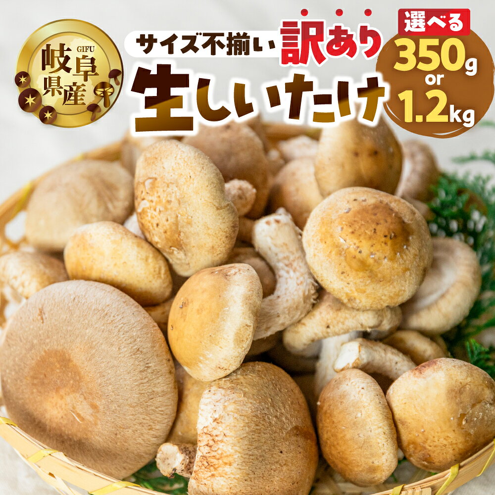 【選べる】訳あり 生しいたけ 約 350g or 1.2kg 大容量 お試し サイズ 混合 不揃い おまかせ 簡易梱包 訳あり 訳アリ BBQ 野菜 栽培期間中 農薬不使用 岐阜県産 本巣市 国産 きのこ キノコ シイタケ 産地直送 新鮮 数量限定 冷蔵 モトスマッシュ [mt1622]