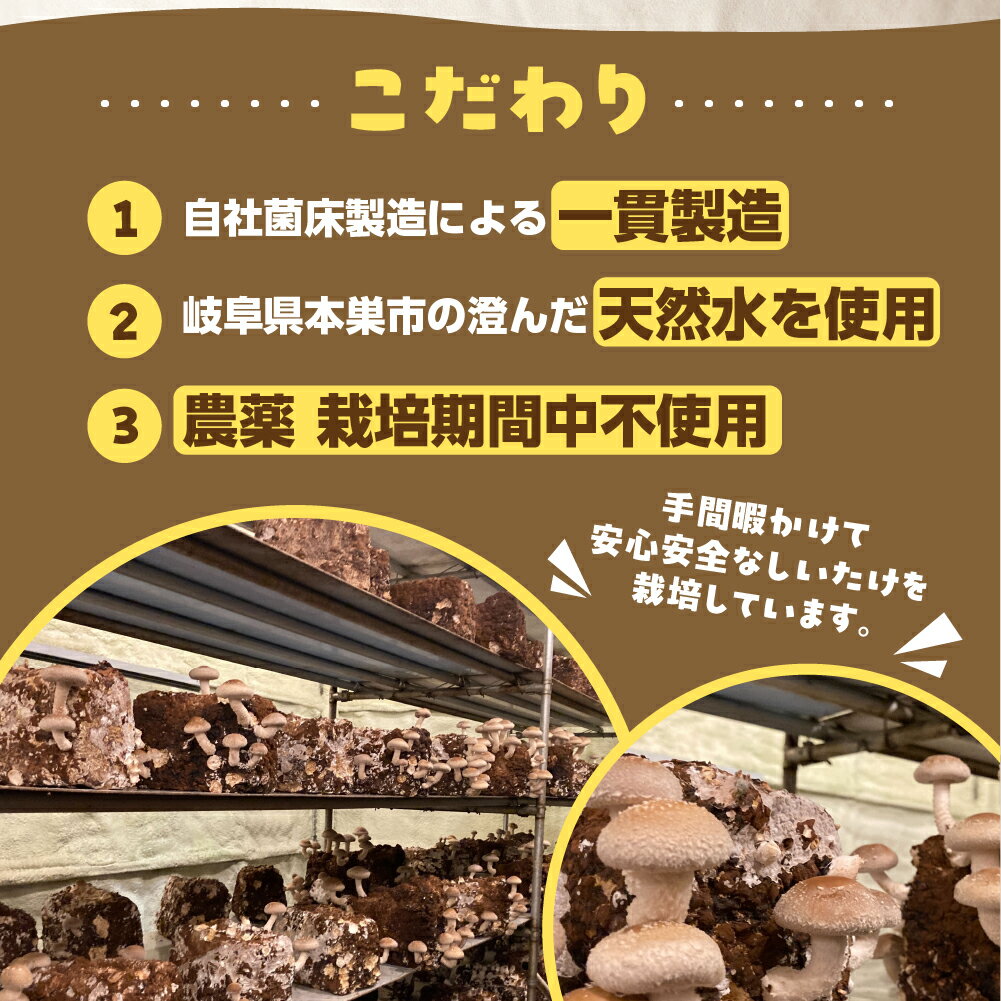 【ふるさと納税】【選べる】訳あり 生しいたけ 約 350g or 1.2kg 大容量 お試し サイズ 混合 不揃い おまかせ 簡易梱包 訳あり 訳アリ BBQ 野菜 栽培期間中 農薬不使用 岐阜県産 本巣市 国産 きのこ キノコ シイタケ 産地直送 新鮮 数量限定 冷蔵 モトスマッシュ [mt1622] - 画像3