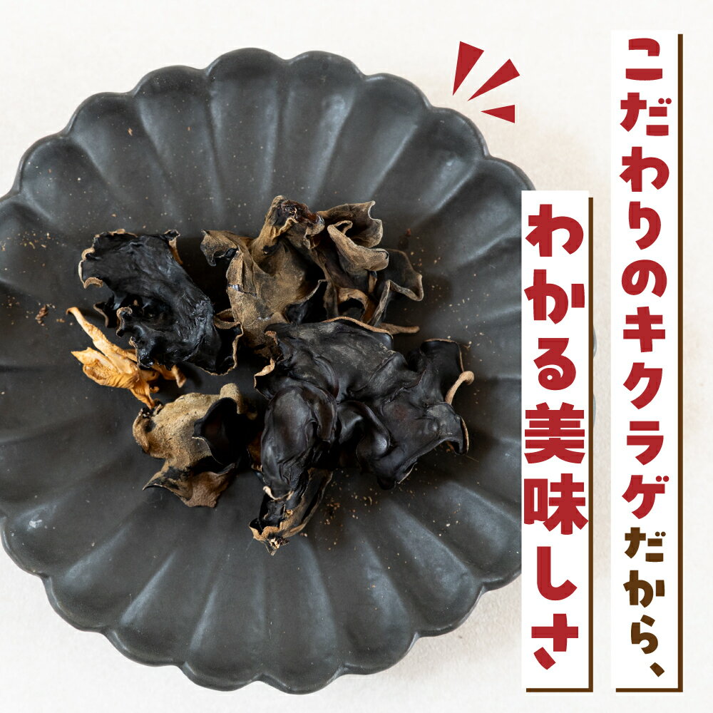 【ふるさと納税】【お試し】乾燥 キクラゲ 約 20g メール便 サイズ 混合 不揃い おまかせ 簡易梱包 訳あり 訳アリ 料理 野菜 栽培期間中 農薬不使用 岐阜県産 本巣市 国産 きのこ キノコ きくらげ 産地直送 新鮮 数量限定 冷蔵 モトスマッシュ [mt1918] 4000円 4千円 - 画像2