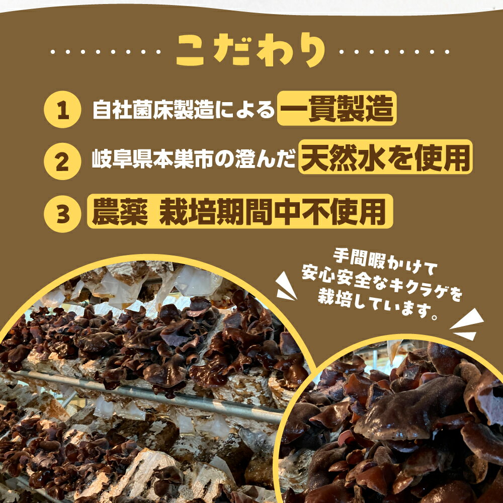 【ふるさと納税】【お試し】乾燥 キクラゲ 約 20g メール便 サイズ 混合 不揃い おまかせ 簡易梱包 訳あり 訳アリ 料理 野菜 栽培期間中 農薬不使用 岐阜県産 本巣市 国産 きのこ キノコ きくらげ 産地直送 新鮮 数量限定 冷蔵 モトスマッシュ [mt1918] 4000円 4千円 - 画像3