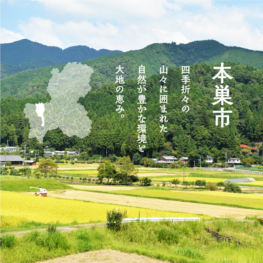 【ふるさと納税】季節の野菜セットA 6〜8品目 選べる お届け回数 1回 3回 6回 12回 お届け 定期便 3か月 6か月 12ヶ月 品目おまかせ BBQ 春 夏 秋 冬 野菜 料理 自宅用 岐阜県産 本巣市 新鮮 やさい 数量限定 冷蔵 道の駅 織部の里 [mt1587] 8000円 - 画像3