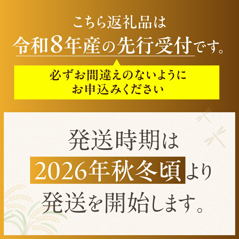 【ふるさと納税】【先行予約】令和8年産 富有柿 2L 12個 ｜《2026年11月上旬より発送予定》カキ かき 果物 くだもの フルーツ 高橋柿ファーム 岐阜県 本巣市 [mt481] 12000円 サムネイル2