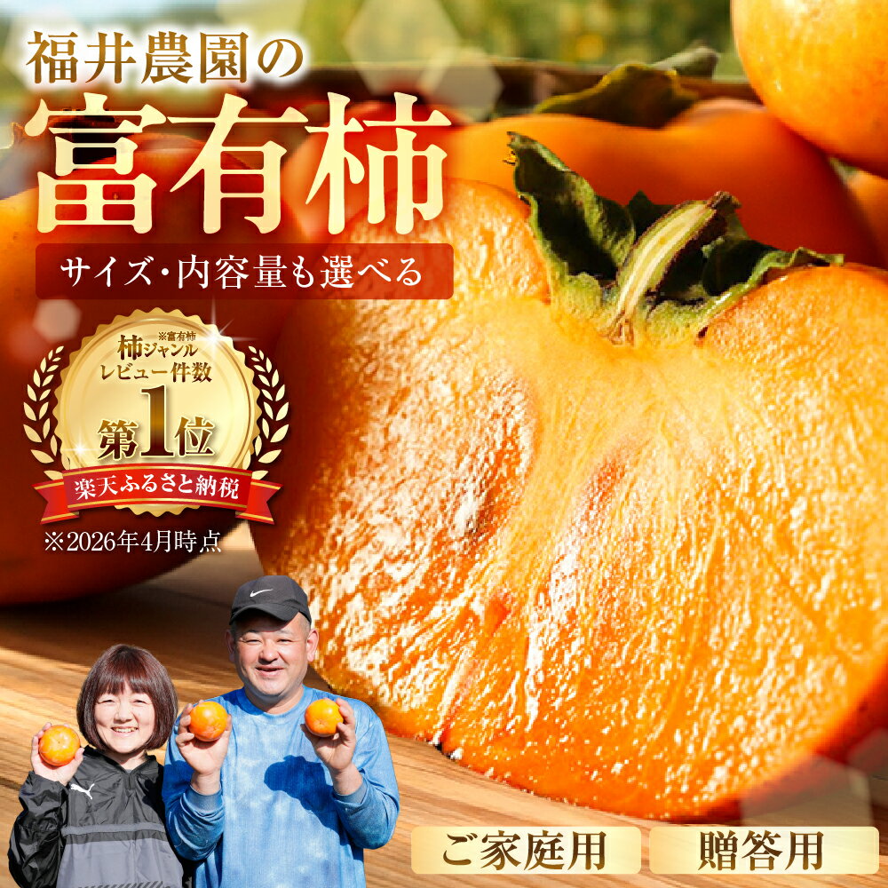 【先行予約】《 訳あり 》 富有柿 約3kg or 約6kg or お試し 8個 約1.3kg [mt028] ｜富有柿 かき フルーツ 柿 かき 果物 訳あり訳アリ 規格外 ご家庭用 ちょうど わけあり 不揃い ふぞろい フルーツ 本巣市 10000円 1万円 7000円 5000円 5千円 福井農園