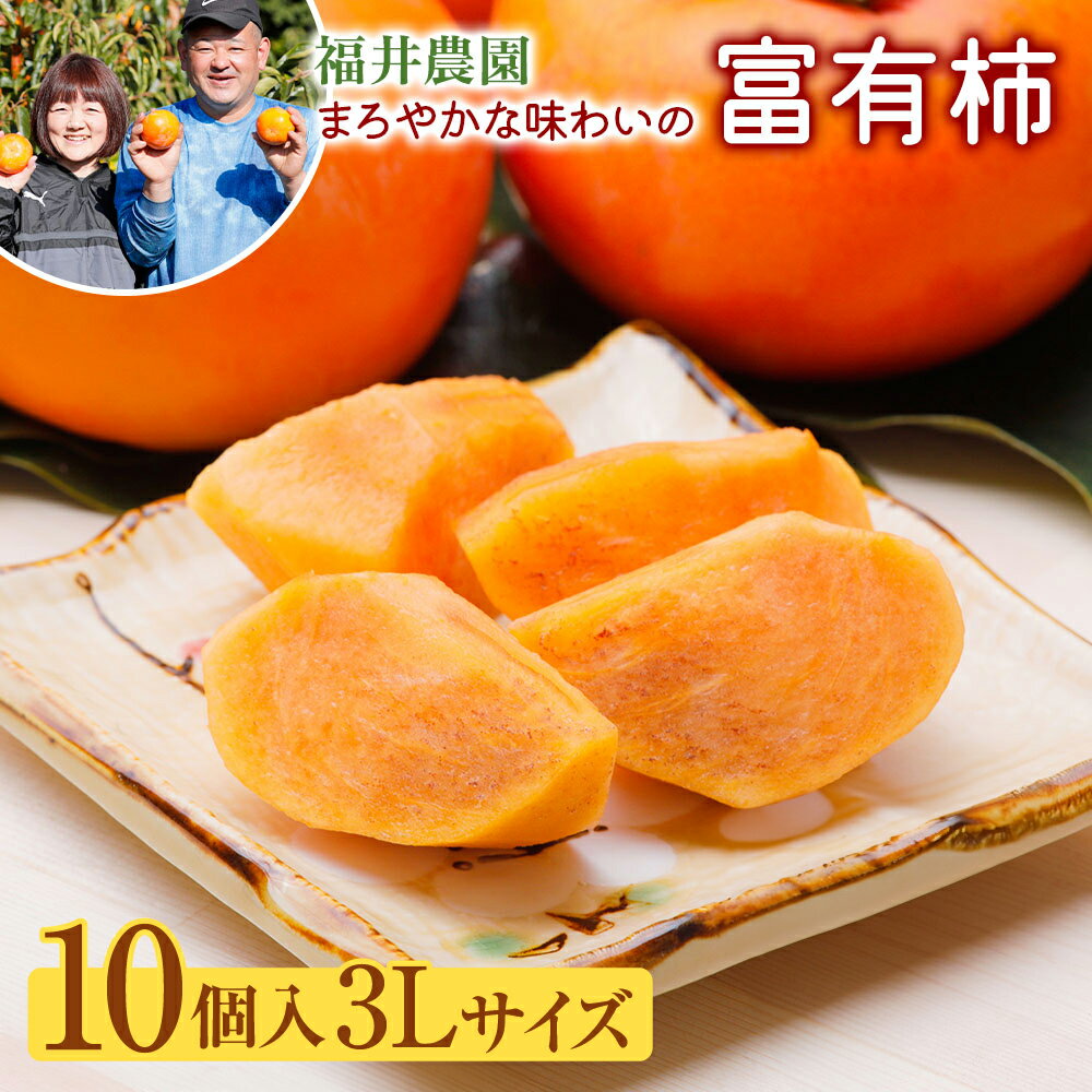【先行予約 】 [柿の王様] 福井農園の富有柿 3Lサイズ (10個入) [0152]｜令和7年産 かき 富有柿 フルーツ カキ 果物 くだもの 産地直送 岐阜県 本巣市 化粧箱 入り 特産品 20000円 2万円
