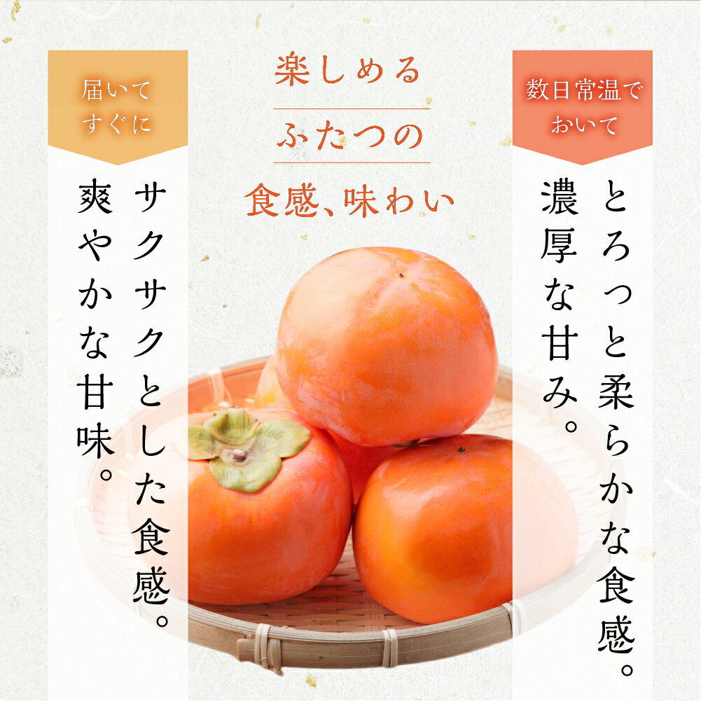 【ふるさと納税】[先行予約]令和7年産《柿の王様》加藤果樹園 富有柿2Lサイズ12個入り 11月下旬〜12月上旬発送予定 [0778] [mt022] ｜かき 富有柿 ふゆうがき フルーツ 果物 くだもの 産地直送 岐阜県 本巣市 サムネイル3