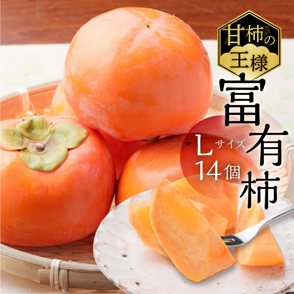 [先行予約]令和8年産《柿の王様》加藤果樹園の富有柿Lサイズ14個入り 11月下旬〜12月上旬発送予定 [1039] [mt025]｜かき 富有柿 ふゆうがき フルーツ カキ 果物 くだもの 産地直送 岐阜県 本巣市 10000円 一万円