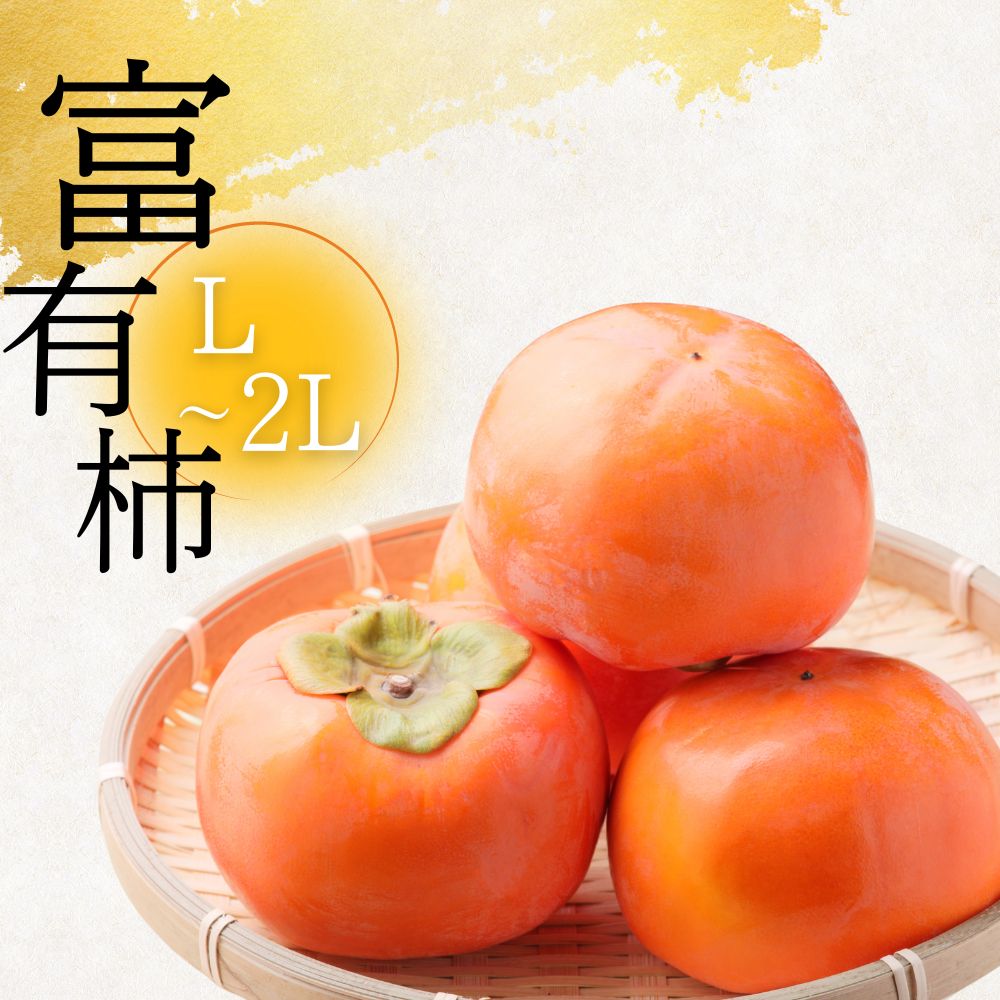 【年内発送】[先行予約] 【訳あり】富有柿 L〜2L サイズ 約5kg 加藤果樹園 [mt1692] ｜家庭用 ご自宅用 わけあり ワケアリ かき 富有柿 ふゆうがき フルーツ 令和7年 カキ 果物 くだもの 産地直送 岐阜県 本巣市 2025年 年末 年内配送 年内お届け