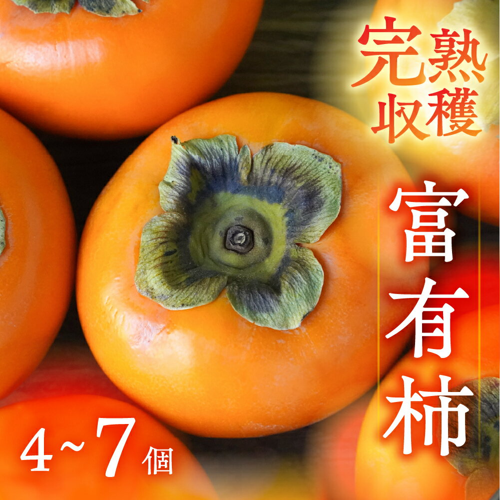 [先行予約] 令和7年産 完熟収穫 富有柿 4~7個 入り | 訳ありサイズ不揃い 規格外 おまかせ 家庭用 ちょうど 柿 かき 富有柿 果物 訳アリ フルーツ 丸金青果 [mt1652]｜岐阜県 本巣市 5000円 5千円 常温 2025年