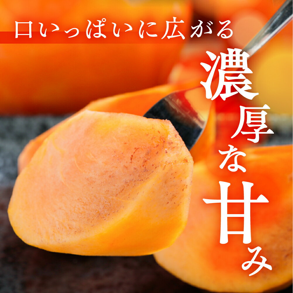 【ふるさと納税】[先行予約] 令和7年産 完熟収穫 富有柿 4~7個 入り | 訳ありサイズ不揃い 規格外 おまかせ 家庭用 ちょうど 柿 かき 富有柿 果物 訳アリ フルーツ 丸金青果 [mt1652]｜岐阜県 本巣市 5000円 5千円 常温 2025年 サムネイル2
