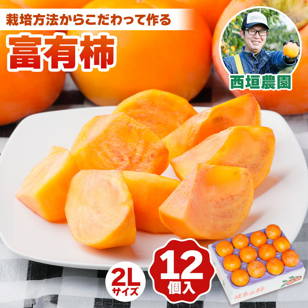 [先行予約] 令和7年産 《柿の王様》西垣農園の富有柿 2Lサイズ (12個入) 11月中旬から12月上旬にかけて発送予定[mt018] [0593]｜かき 富有柿 フルーツ カキ 果物 くだもの 産地直送 岐阜県 本巣市 お取り寄せ 16000円