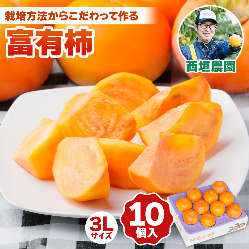 [先行予約] 令和7年産《柿の王様》西垣農園の富有柿 3Lサイズ (10個入)11月中旬~12月上旬発送予定 [mt021] [0594]｜かき 富有柿 ふゆうがき フルーツ 令和6年 カキ 果物 くだもの 産地直送 岐阜県 本巣市 特産品 お取り寄せ 18000円