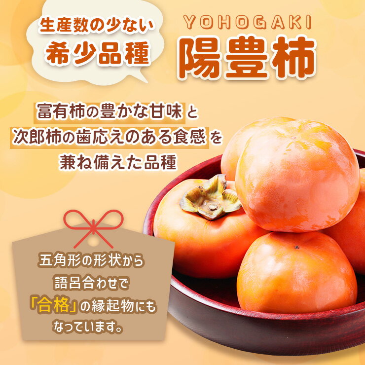 【ふるさと納税】[先行予約] 令和8年産 陽豊柿 2Lサイズ 12個入り《2026年11月上旬より発送予定》[1001]｜かき 陽豊 フルーツ カキ 果物 くだもの 産地直送 高橋柿ファーム 岐阜県 本巣市 10000円 1万 サムネイル3