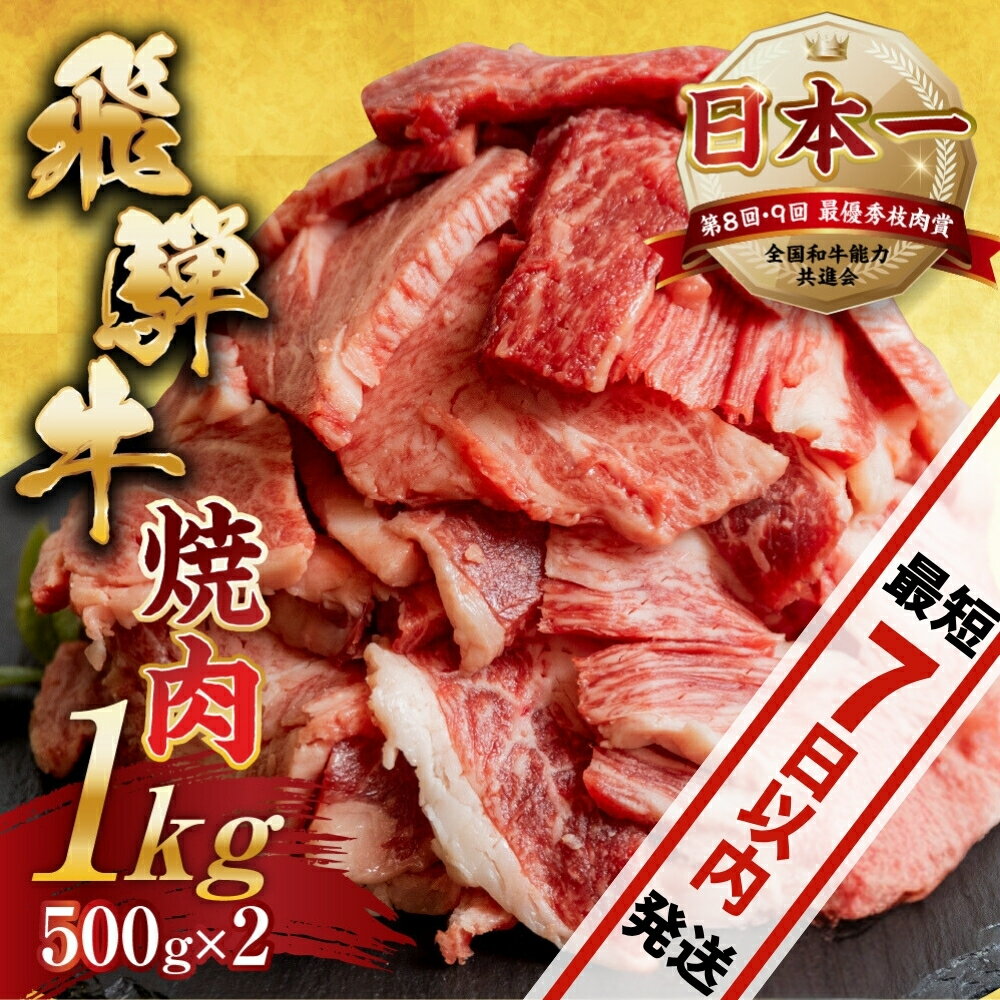 訳あり 飛騨牛 焼肉 切り落とし 500g×2 計1kg 牛肉 肉 切落し 和牛 国産牛 わけあり 不揃い 小分け 冷凍 本巣市 トキノ屋 BBQ バーベキュー 人気 焼き肉 [mt656] 25000円