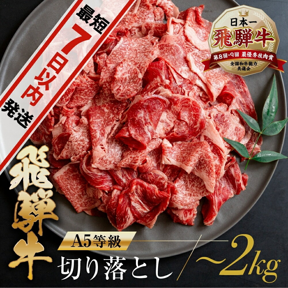 訳あり 飛騨牛 切り落とし 【250g 400g 500g 1kg 1.5kg 2kg 】 | 牛肉 肉 和牛 国産牛 肉 焼肉 すき焼き a5 不揃い 小分け 冷凍 日付指定 トキノ屋食品 本巣市 わけあり ワケアリ 訳有 [mt368] 7000円 10000円 一万円 5000円 五千