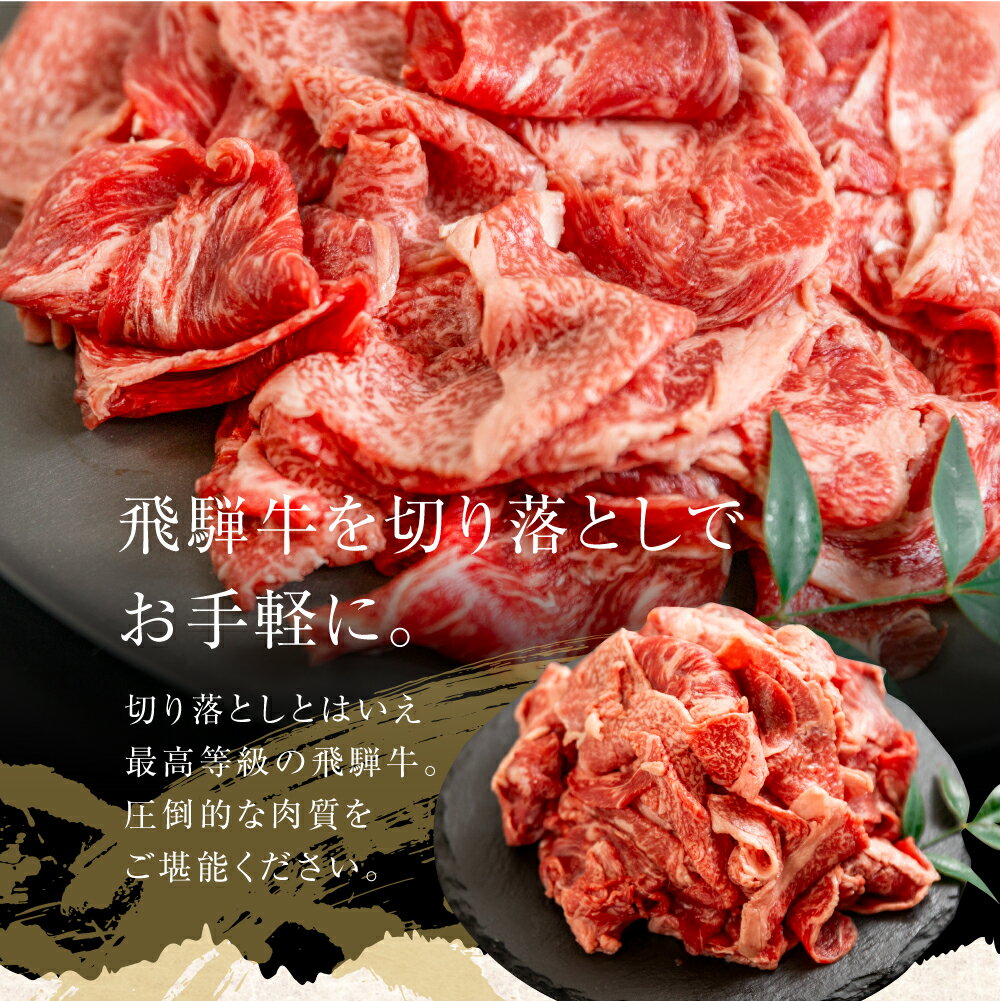 【ふるさと納税】訳あり 飛騨牛 切り落とし 【250g 400g 500g 1kg 1.5kg 2kg 】 | 牛肉 肉 和牛 国産牛 肉 焼肉 すき焼き a5 不揃い 小分け 冷凍 日付指定 トキノ屋食品 本巣市 わけあり ワケアリ 訳有 [mt368] 7000円 10000円 一万円 5000円 五千 サムネイル3