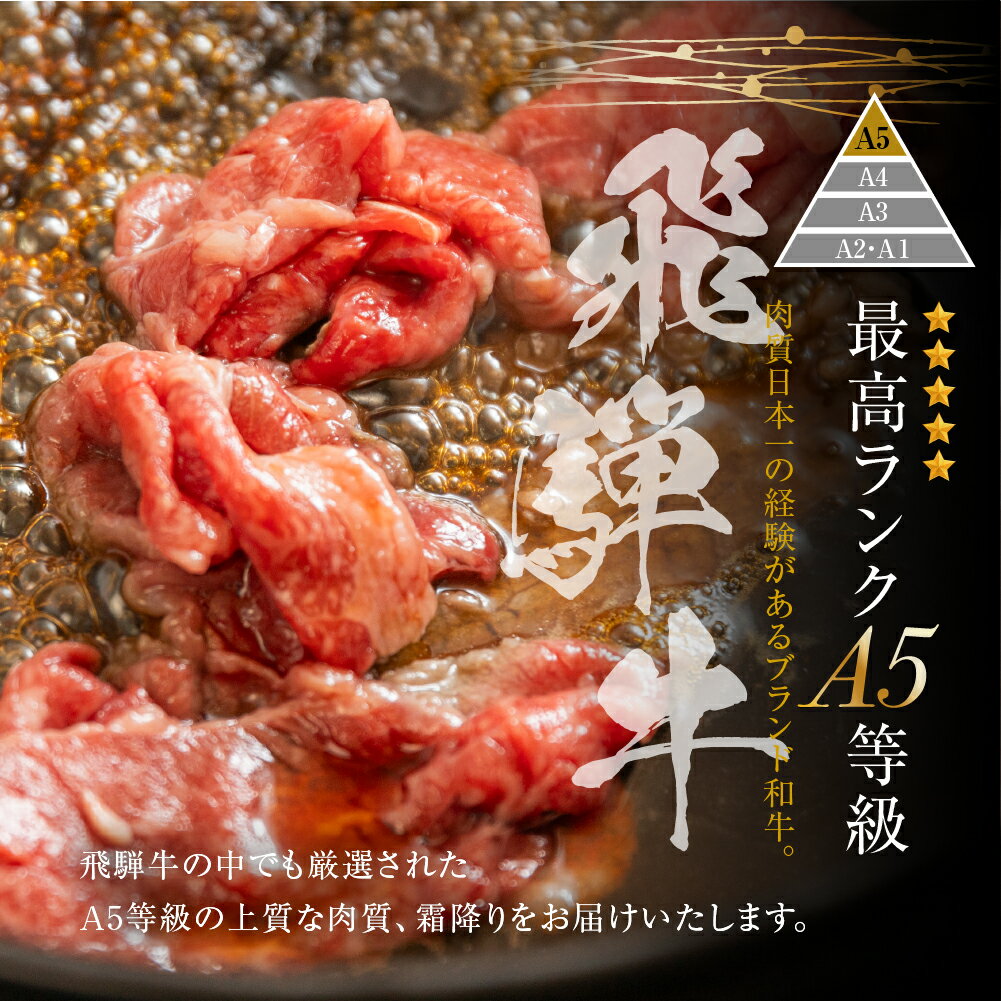 【ふるさと納税】訳あり 飛騨牛 切り落とし 【250g 400g 500g 1kg 1.5kg 2kg 】 | 牛肉 肉 和牛 国産牛 肉 焼肉 すき焼き a5 不揃い 小分け 冷凍 日付指定 トキノ屋食品 本巣市 わけあり ワケアリ 訳有 [mt368] 7000円 10000円 一万円 5000円 五千 サムネイル2