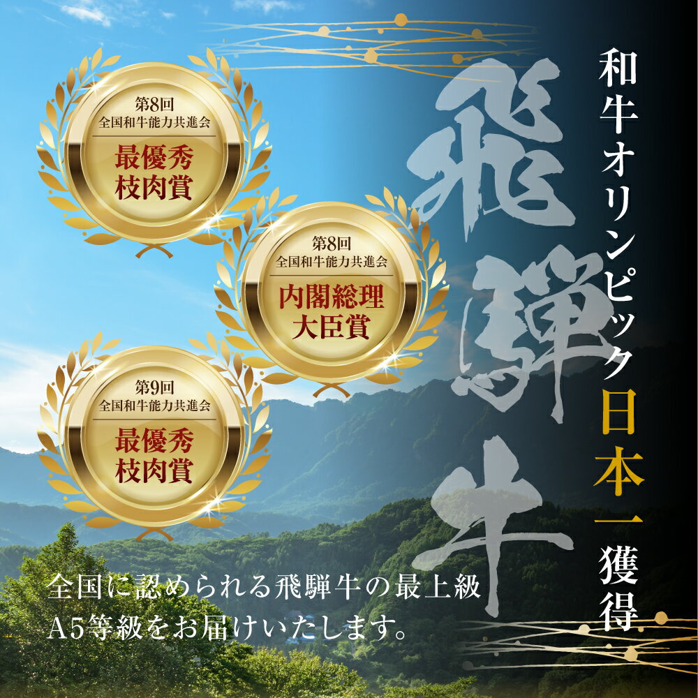 【ふるさと納税】 訳あり 飛騨牛 焼肉 切り落とし 500g×2 計1kg 牛肉 肉 切落し 和牛 国産牛 わけあり 不揃い 小分け 冷凍 本巣市 トキノ屋 BBQ バーベキュー 人気 焼き肉 [mt656] 25000円 サムネイル3
