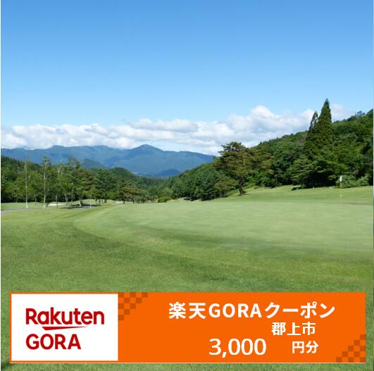 岐阜県郡上市の対象ゴルフ場で使える楽天GORAクーポン寄付額10,000円 / カタログギフト チケット 金券 旅行 交通関連チケット 旅行券 ホテル券 航空券 10000円