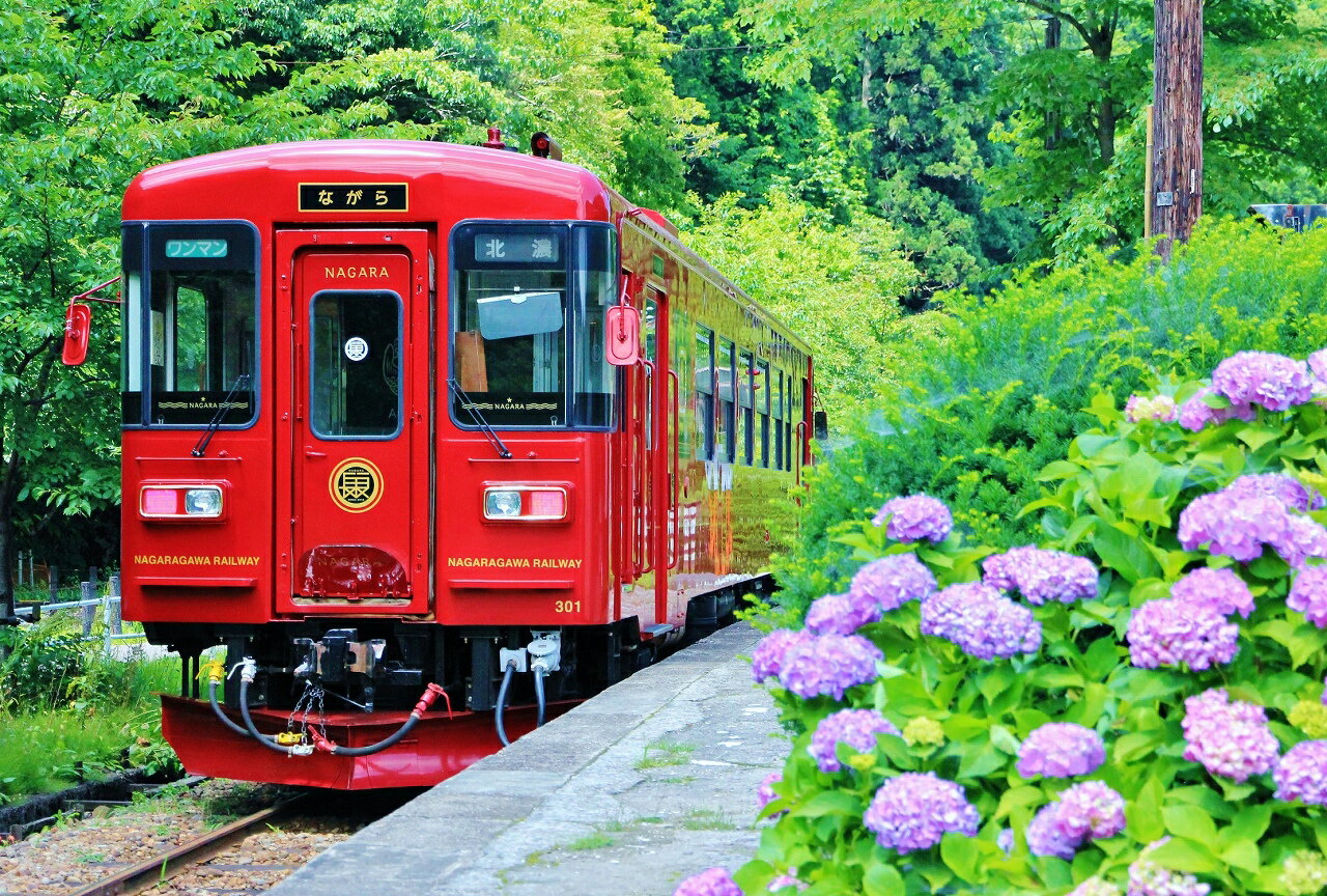 ながらランチプラン（シングル） / カタログギフト チケット 金券 旅行 交通関連チケット 鉄道乗車券 カード 65000円