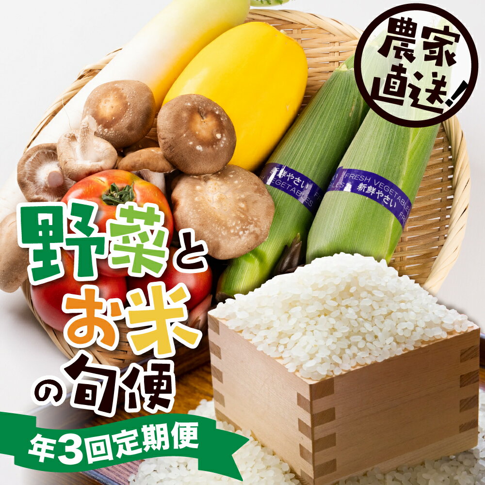 [定期便]郡上の旬野菜とお米（年3回） 季節の野菜 / 食品 野菜 セット 詰め合わせ 25000円