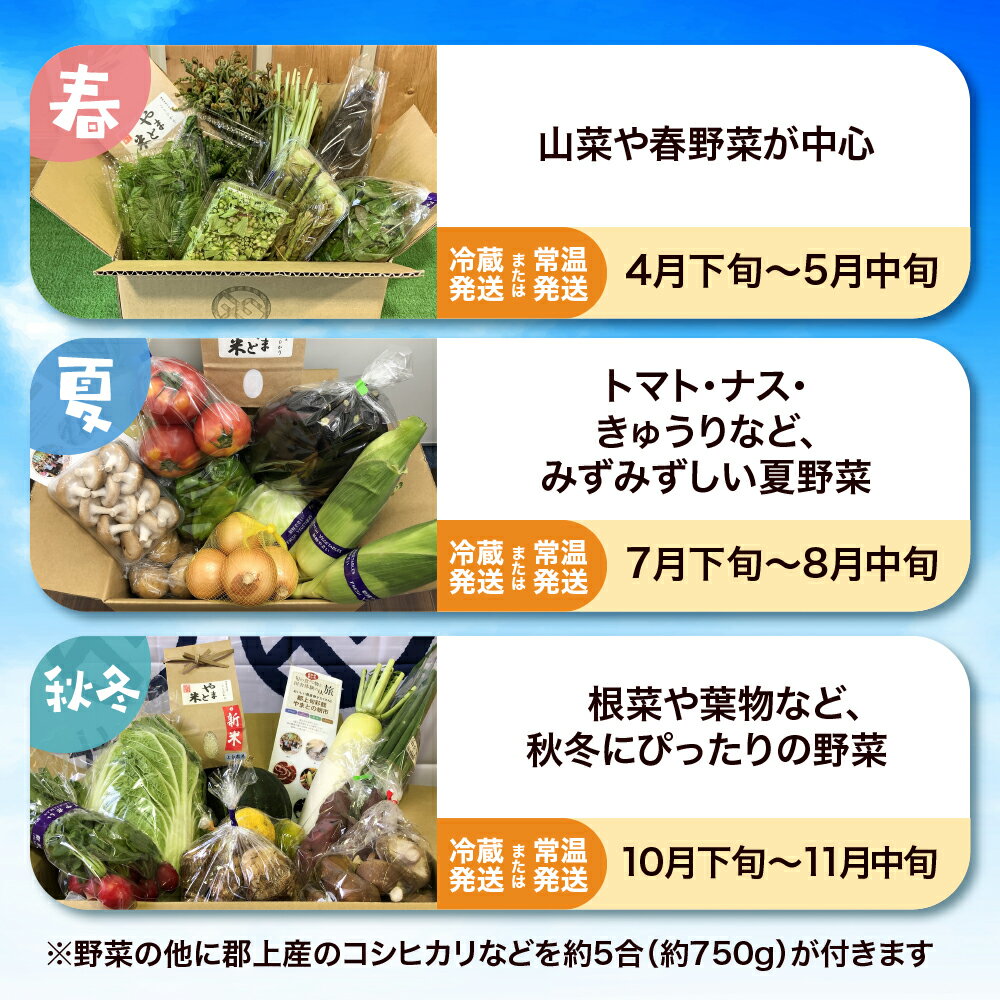 【ふるさと納税】[定期便]郡上の旬野菜とお米（年3回） 季節の野菜 / 食品 野菜 セット 詰め合わせ 25000円 - 画像2