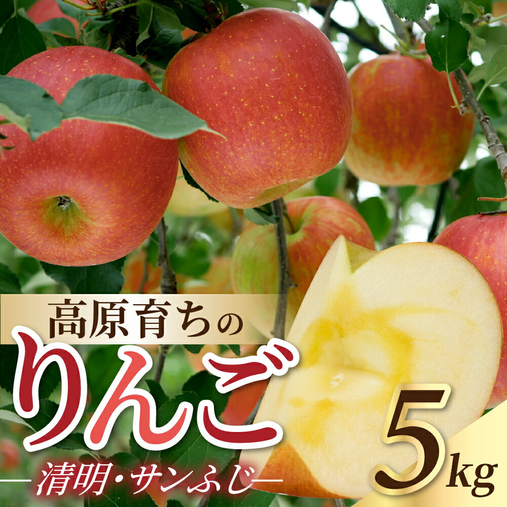 りんご 郡上高鷲のりんご 令和7年産 季節限定 11月27日まで 清明 サンフジ 品種お任せ（品種指定不可）/ 食品 フルーツ 果物 リンゴ 林檎 10000円