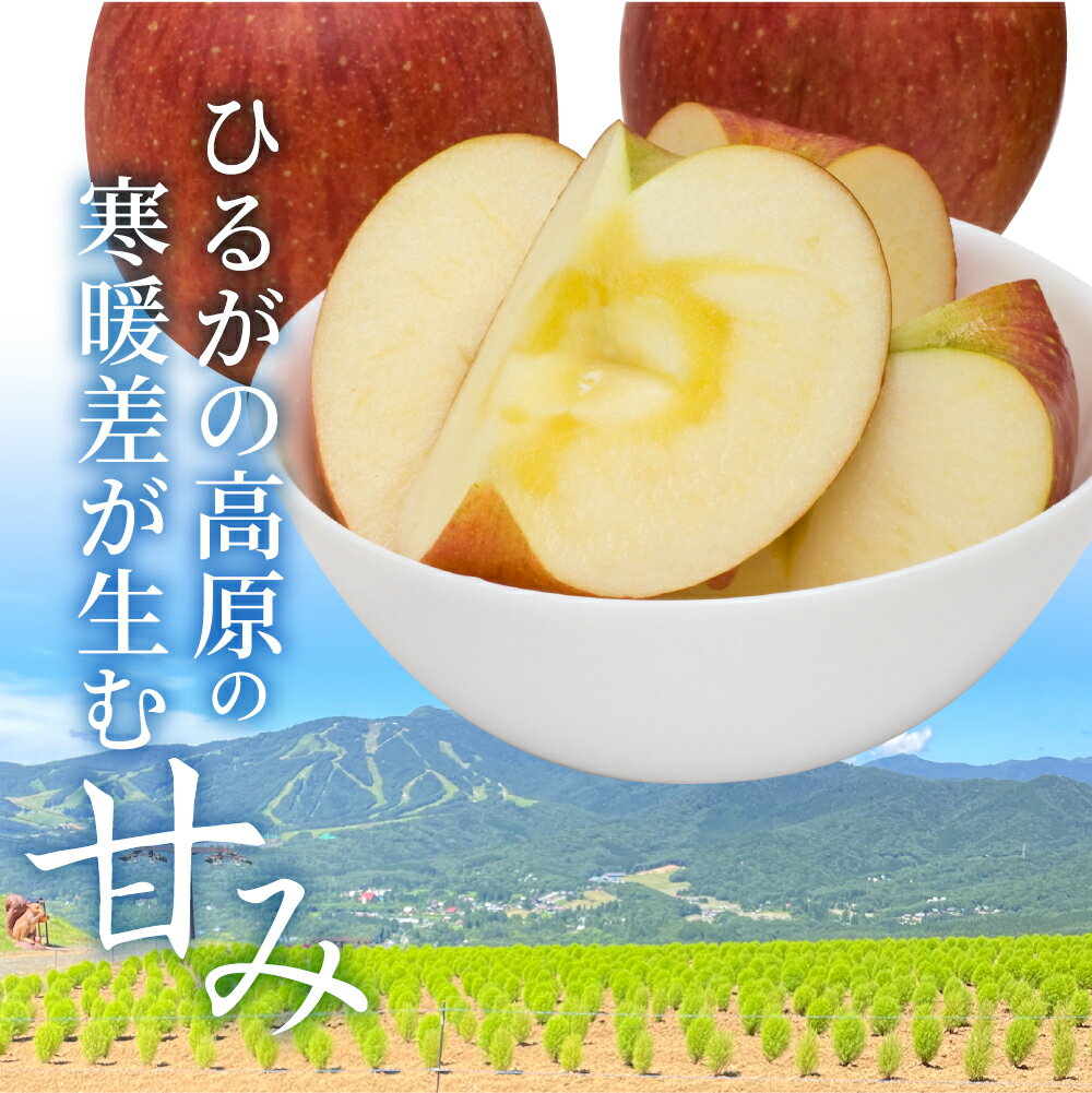 【ふるさと納税】りんご 郡上高鷲のりんご 令和7年産 季節限定 11月27日まで 清明 サンフジ 品種お任せ（品種指定不可）/ 食品 フルーツ 果物 リンゴ 林檎 10000円 サムネイル2