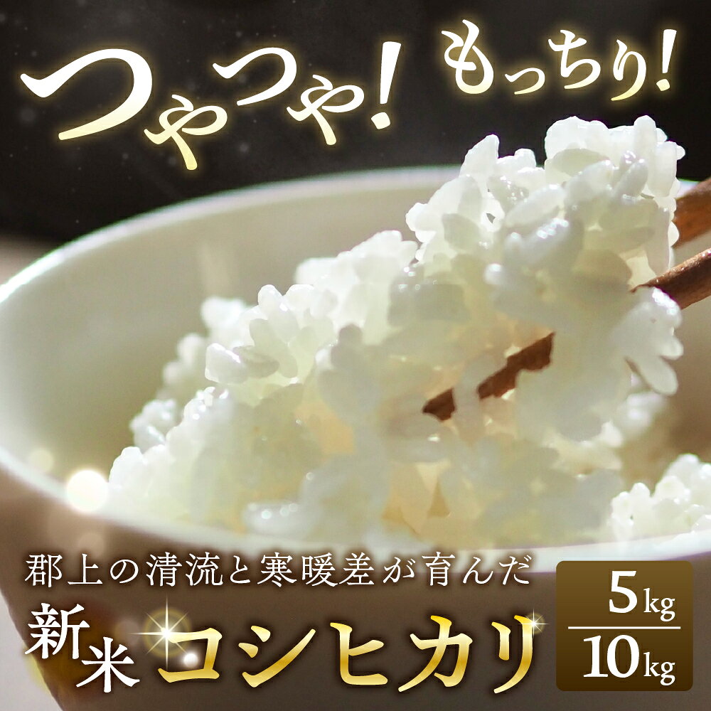 令和7年産 郡上産こしひかり 5kg 10kg 内容量選べる 食品 米 精米 白米 コシヒカリ お米 コメ こめ 米 15000円 30000円
