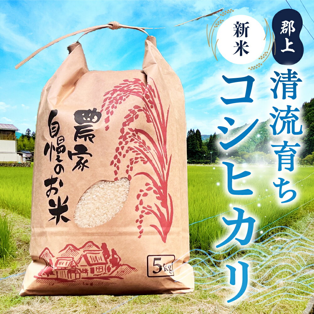 【ふるさと納税】令和7年産 郡上産こしひかり 5kg 10kg 内容量選べる 食品 米 精米 白米 コシヒカリ お米 コメ こめ 米 15000円 30000円 - 画像2