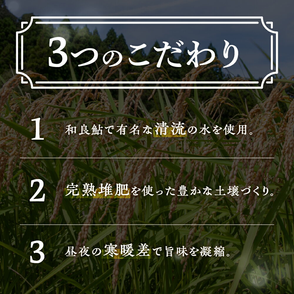 【ふるさと納税】令和7年産 郡上産こしひかり 5kg 10kg 内容量選べる 食品 米 精米 白米 コシヒカリ お米 コメ こめ 米 15000円 30000円 - 画像3