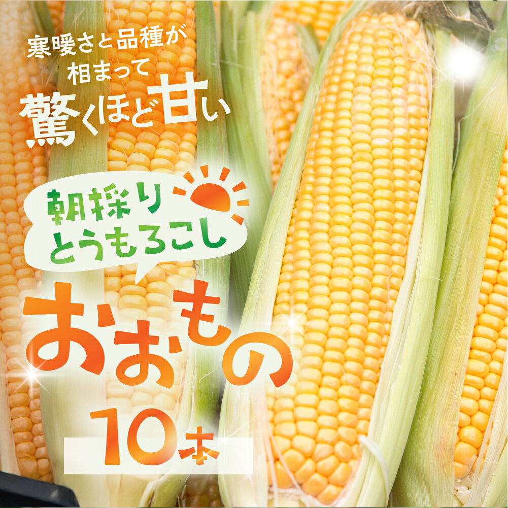 先行予約【2026年7月中旬～10月20日発送】郡上市産 朝どれとうもろこし 10本入 とうもろこし トウモロコシ 大粒 甘い おいしい おおもの コーン 野菜 やさい 旬 夏 BBQ 焼肉 10000円 1万円