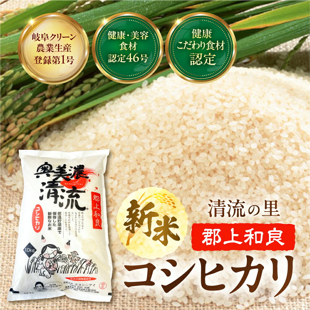 令和7年産 奥美濃清流米 5kg 10kg こしひかり コシヒカリ こめ / 食品 米 雑穀 白米 17000円