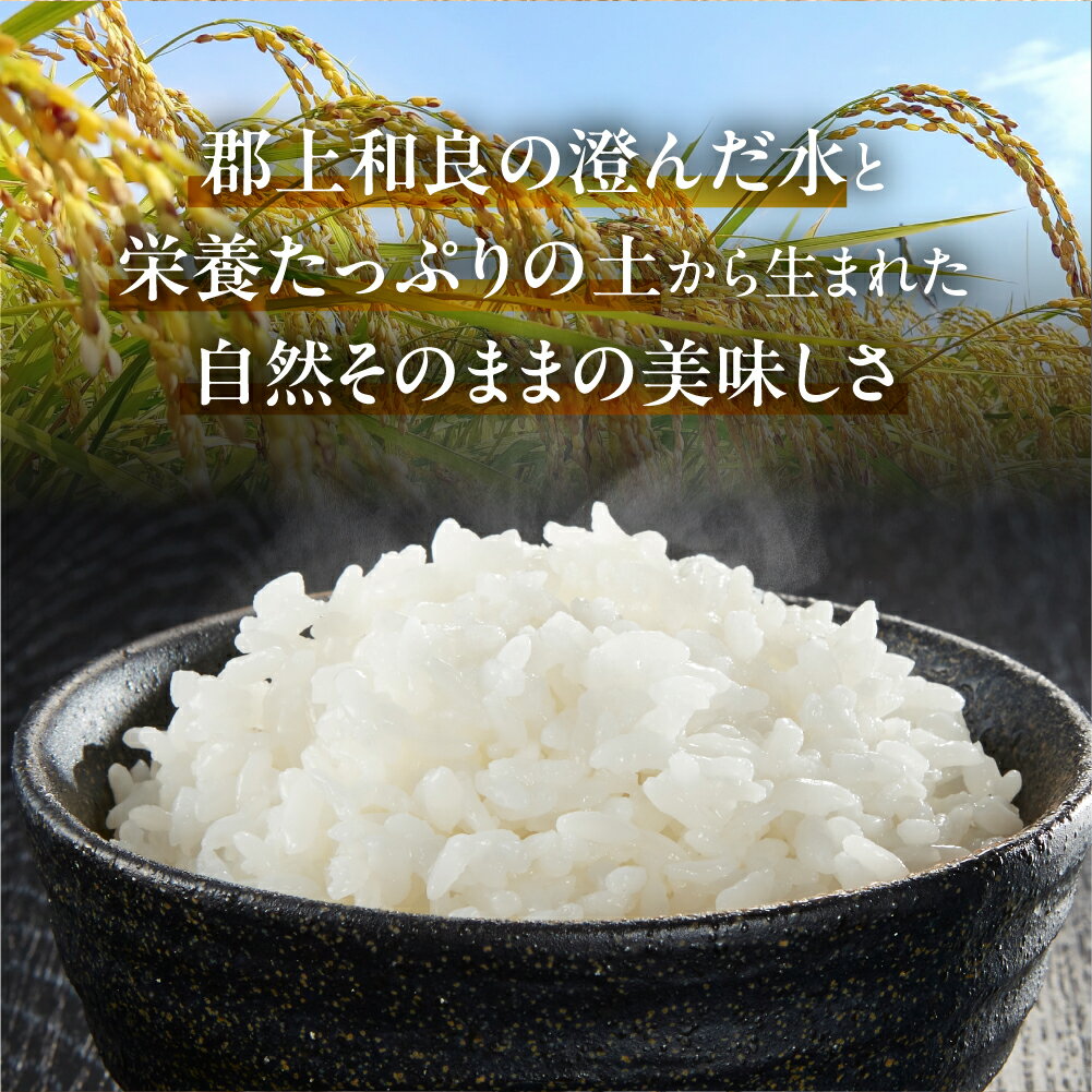 【ふるさと納税】令和7年産 奥美濃清流米 5kg 10kg こしひかり コシヒカリ こめ / 食品 米 雑穀 白米 17000円 - 画像2