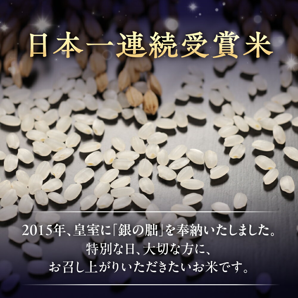 【ふるさと納税】銀の朏 5kg 高評価★4.91 皇室献上米 【2025年産米】新米予約 銀　新米 先行予約 化学肥料不使用 いのちの壱 精米 お米 令和7年産 5キロ 銀のみかづき ぎんのみかづき 米 下呂市 農家直送 送料無料 白米 サムネイル2