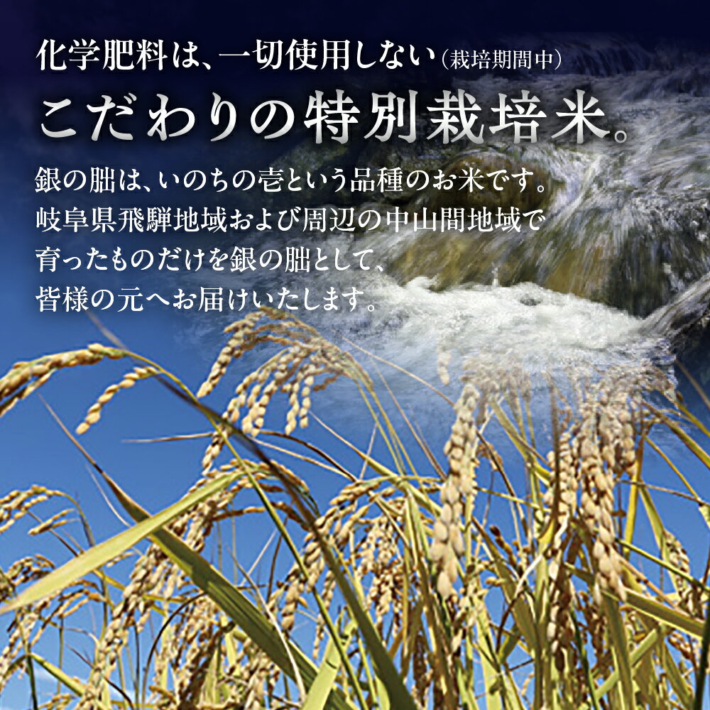 【ふるさと納税】銀の朏 5kg 高評価★4.91 皇室献上米 【2025年産米】新米予約 銀　新米 先行予約 化学肥料不使用 いのちの壱 精米 お米 令和7年産 5キロ 銀のみかづき ぎんのみかづき 米 下呂市 農家直送 送料無料 白米 サムネイル3